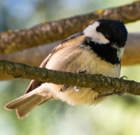Parque de Polvoranca